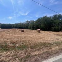 Terreni agricoli