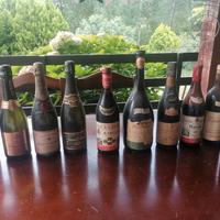 bottiglie di vino di varia tipologia  ed annate