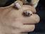 Immagine 2
