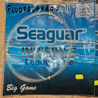 Stock di filo fluorocarbon della seguar