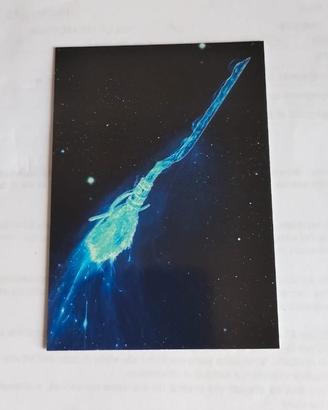 Always trading cards - Harry Potter