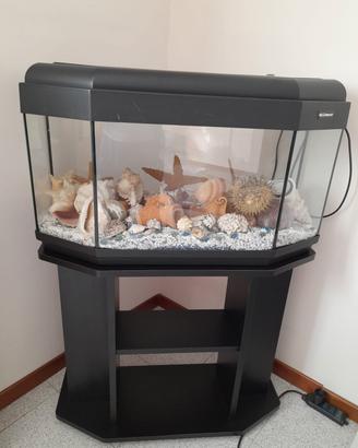 Acquario + mobile