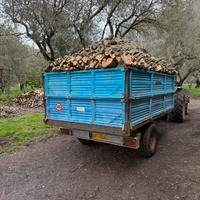 Legna di ulivo per caminetti-forni-pizzerie