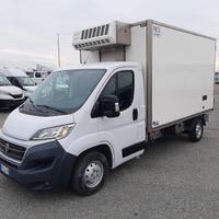 Fiat ducato cella frigo