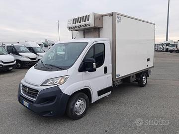 Fiat ducato cella frigo