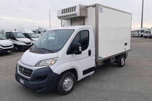 Fiat ducato cella frigo