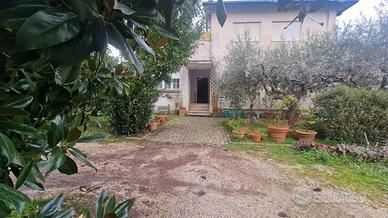 Cave, un piano terra con giardino, cantina