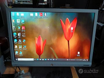 monitor 19 pollici 