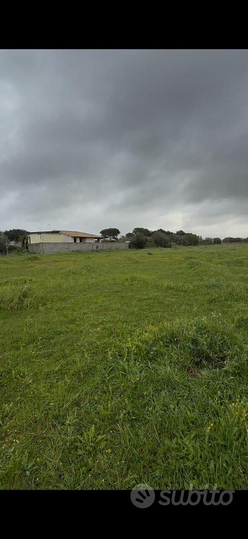 Terreno agricolo - Vista 4