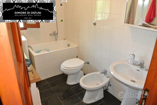 COMPLESSO IMMOBILIARE con TRULLO, LAMIE, VILLA - More