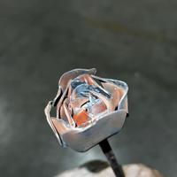 Rosa metallo