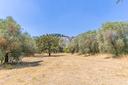 ter-agricolo-a-guidonia-montecelio