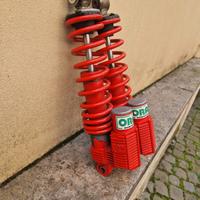 Coppia ammortizzatori