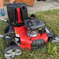 tagliaerba a motore