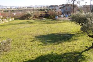 Terreni edificabili in via santuccione b6