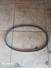 cinghia dentata