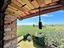 Immagine 22