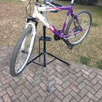 Bici  MTB usata Frejus