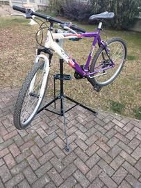 Bici  MTB usata Frejus