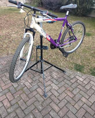 Bici  MTB usata Frejus