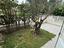 Immagine 10