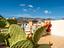 Immagine 17