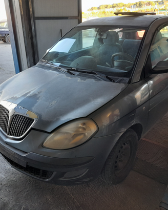 Lancia y 1.3 mlj 2006 ricambi