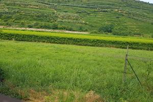 Terreno agricolo