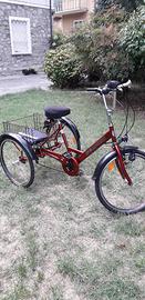 Bicicleeta disabili o anziani
