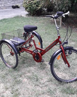 Bicicleeta disabili o anziani