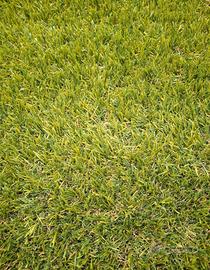 Erba sintetica 30mm 6.5mx2m