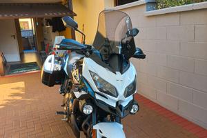 Kawasaki Versys 650 - 2021