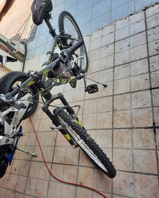 Bicicletta 