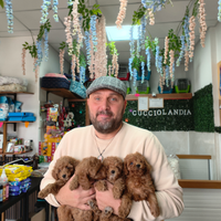 Barboncini Toy Red & mini toy anche a rate 2M 2F