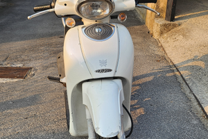 Bordighera Scarabeo 100