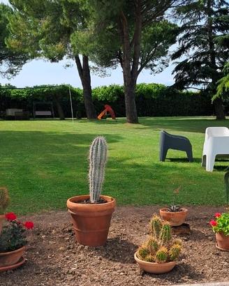 Casale in esclusiva con parco e tennis 