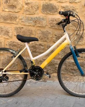 Bicicletta
