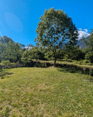 Terreno Agricolo Montano