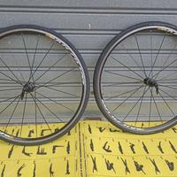 RUOTE  MAVIC  AKSIUM ELITE CON ATTACHI QR