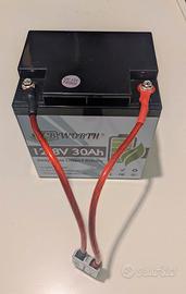 Batteria LiFePO4 12V 30Ah + Anderson