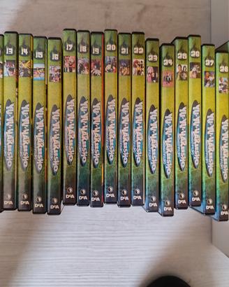 DVD anime