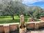Immagine 13