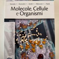 Molecole, cellule e organismi