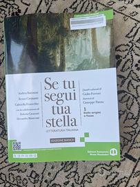 Libro di letteratura italiana