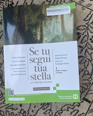 Libro di letteratura italiana