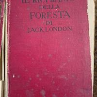 libro anticoRichiamo della Foresta di jack London 