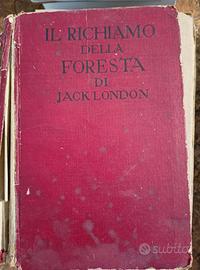 libro anticoRichiamo della Foresta di jack London 
