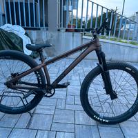 Bici Dirt ROSE THE BRUCE