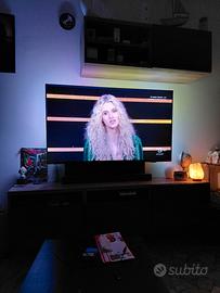 tv 55 pollici fhilips 