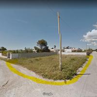 Suolo a punta grossa porto cesareo